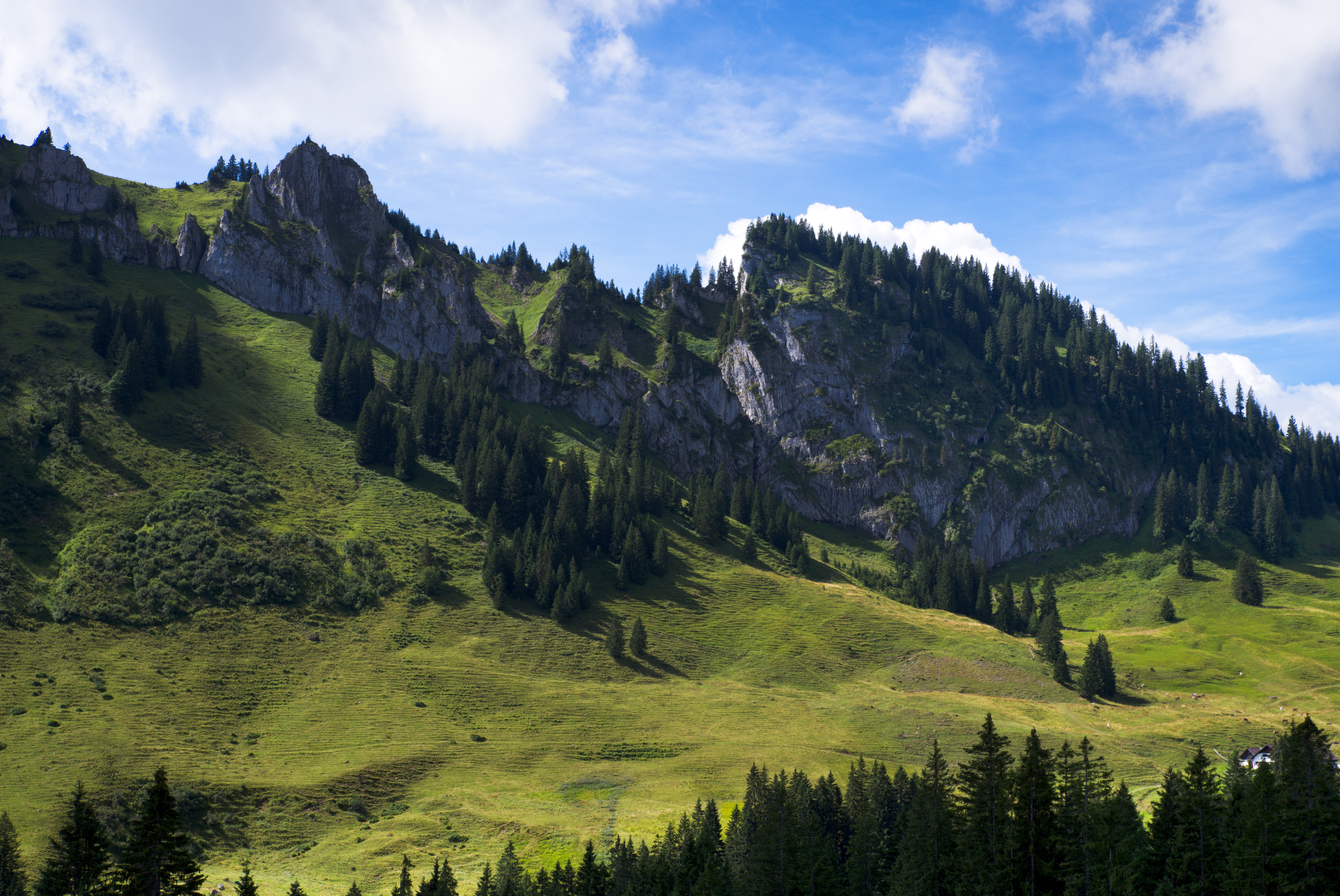 Mountain landscape