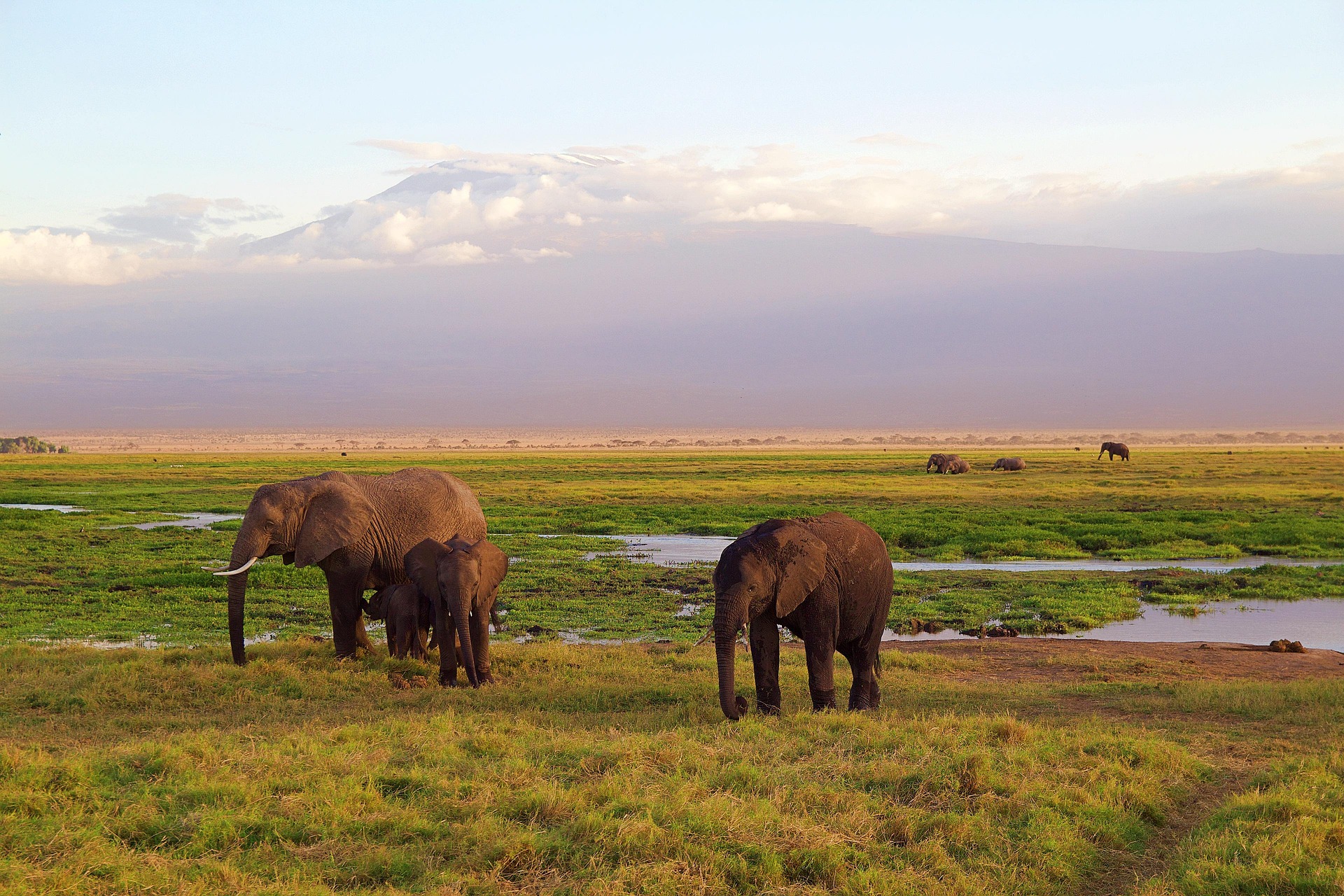 Kilimanjaro Machame Route