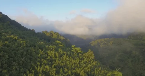 Aberdare Ranges Trek